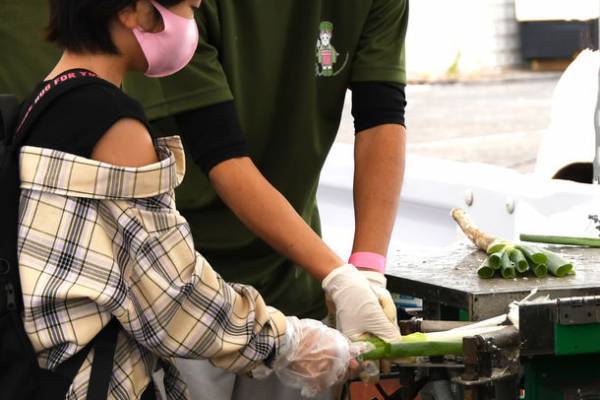 全国で注目を集める能代市のブランド農産物をPR　「白神ねぎまつり2022」を開催します