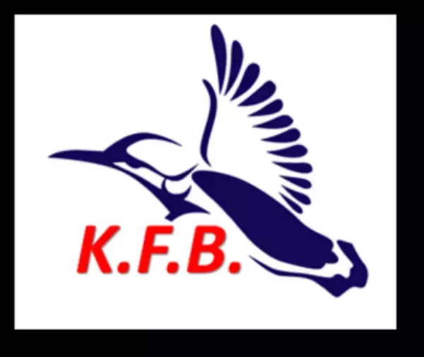 ブラウザーゲームをWeb公開『脱出ゲーム・マンション火災から避難せよ！』