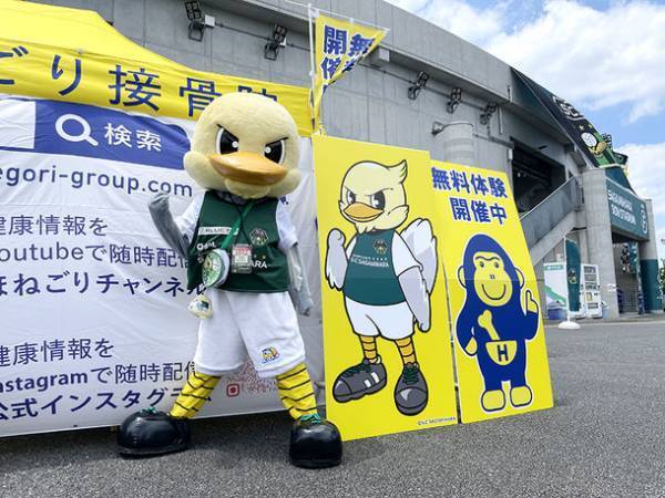 ほねごりグループ新規開院のお知らせ　「ほねごり接骨院・はりきゅう院　さがみ野院」2022年10月10日(月)オープン