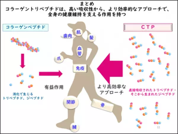 「次世代コラーゲン・カラダラボ」WEBセミナーを開催　痛みレスでトレーニングを継続するカギは、低分子コラーゲン　運動領域におけるコラーゲン摂取の可能性