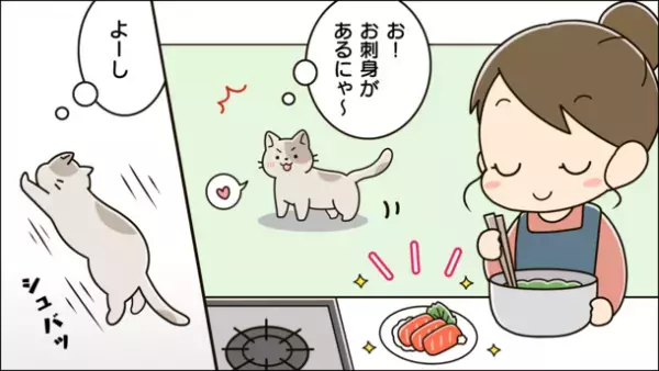 猫によるガスコンロの誤点火対策！！愛するネコを守る「猫様専用コンロスイッチカバー」の数量限定モデルをMakuakeで11月29日まで販売