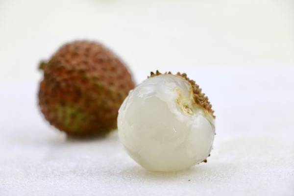 美肌・カラダづくりをサポート生ライチのブランド『Sofru』が誕生。ブランドサイトオープン