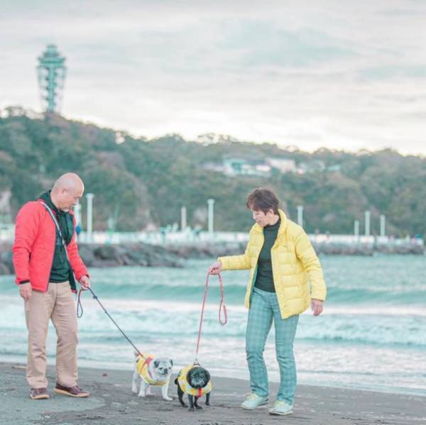 ワンちゃんホテル2周年キャンペーン開催！湘南鎌倉クリスタルホテルが11月限定で「ワンちゃん宿泊料 無料キャンペーン」を実施