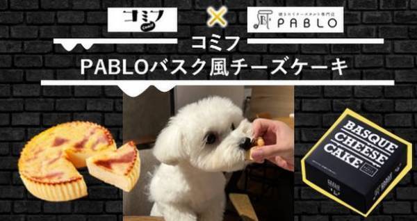 愛犬も飼い主様も一緒に楽しめる「コミフ」が焼きたてチーズタルト専門店『PABLO』とコラボ！「コミフPABLOバスク風チーズケーキ」を10月21日より発売