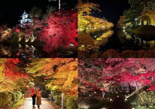 『弘前城菊と紅葉まつり』を10月28日から開催！紅葉特別ライトアップや彩り豊かなフラワーアートが登場