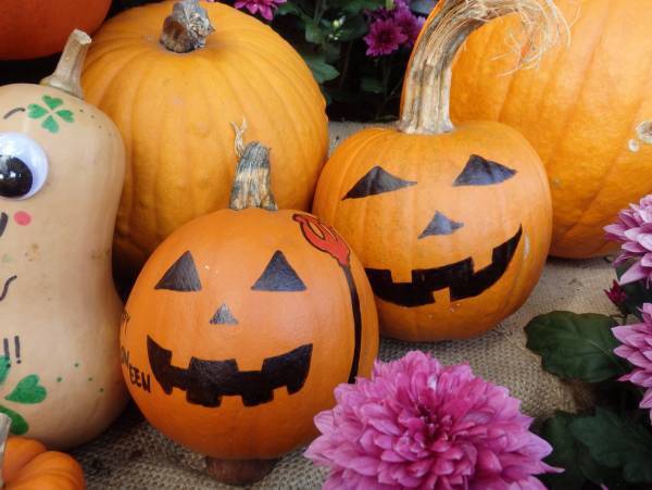 「5000系復刻プロジェクト」として各種イベントを実施します