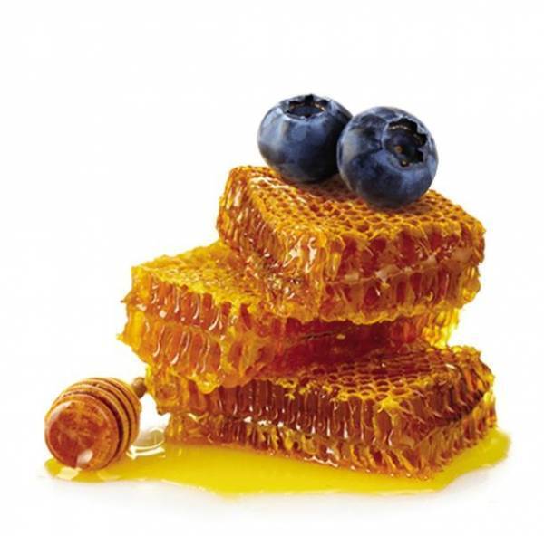 夜専用のスリーピングマスクで寝ている間もしっかりケア！韓国コスメブランド「FRUDIA」から「ブルーベリーハニー」シリーズが日本上陸！