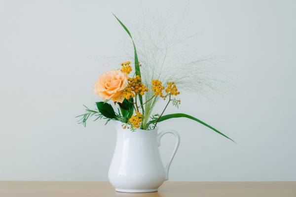 花のサブスクリプションサービス「ハナノヒ」～まいにち楽しむ、ときどき楽しむ～月毎のライフスタイルに合わせて、利用回数の使い分けが可能に。「ときどきイクハナプラン」が新登場。「サクハナプラン」も月額そのまま、さらにお得に。