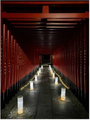椙山女学園大学×三光稲荷神社×株式会社遊猿地コラボ企画　第二弾愛知県犬山市、三光稲荷神社ライトアップイベントを11月26日(土)より犬山三光稲荷神社にて期間限定開催！