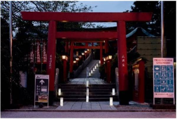 椙山女学園大学×三光稲荷神社×株式会社遊猿地コラボ企画　第二弾愛知県犬山市、三光稲荷神社ライトアップイベントを11月26日(土)より犬山三光稲荷神社にて期間限定開催！