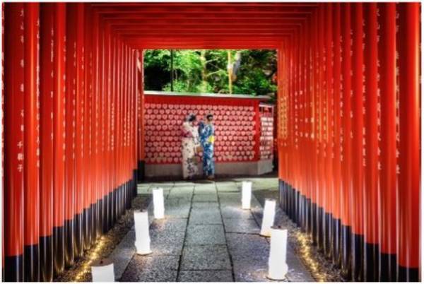椙山女学園大学×三光稲荷神社×株式会社遊猿地コラボ企画　第二弾愛知県犬山市、三光稲荷神社ライトアップイベントを11月26日(土)より犬山三光稲荷神社にて期間限定開催！