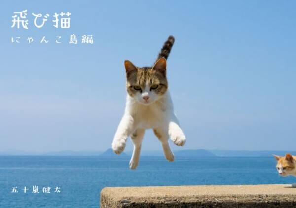 五十嵐 健太「飛び猫写真展」を2023年1月14日から郵政博物館で開催