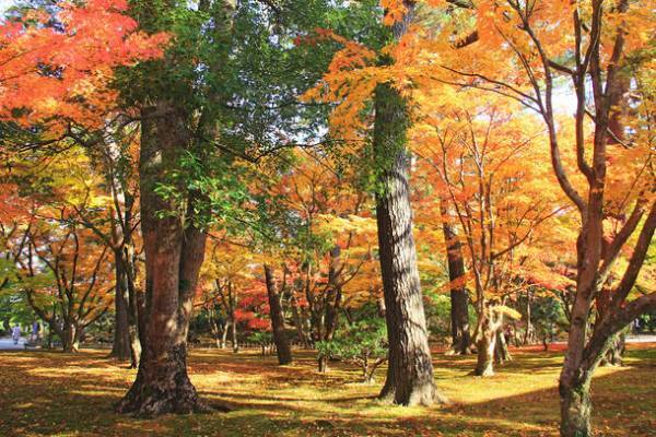 工芸王国・石川県　歴史や文化、芸術を満喫できるショートトリップ＆ワンデイトリップ　10月25日(火)・11月6日(日)にモニターツアーを開催