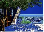 【あべのハルカス近鉄本店】鈴木英人の世界展