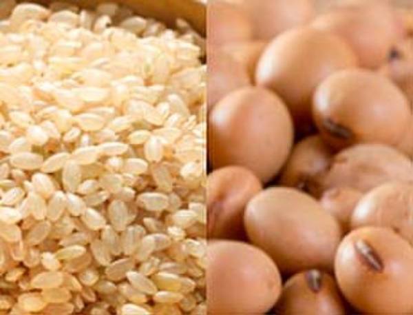 自然食屋のプレマルシェ・ジェラテリアが10/30 東京で開催される「ビーガングルメ祭り2022秋」に出店