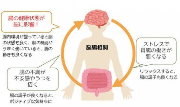 朝食摂取による心と体の健康への影響について意識調査を実施　日常的なフルーツグラノーラ摂取者は心と体の満足度が高い傾向が判明