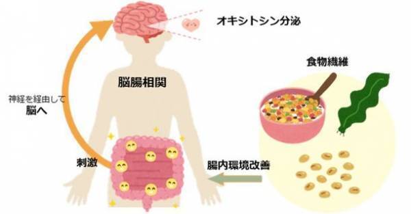 朝食摂取による心と体の健康への影響について意識調査を実施　日常的なフルーツグラノーラ摂取者は心と体の満足度が高い傾向が判明