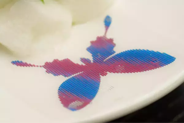 明治大学総合数理学部 宮下芳明研究室とフレンチレストラン「elan vital」が方向によって見え方が変わるデザートを開発