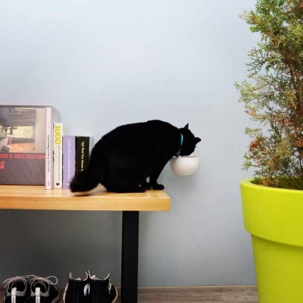 “猫のご飯の悩み”に向き合い開発　どこでも取り付けられるマグネットペットボウル「バブルボウル」をMakuakeにて11月15日まで販売中