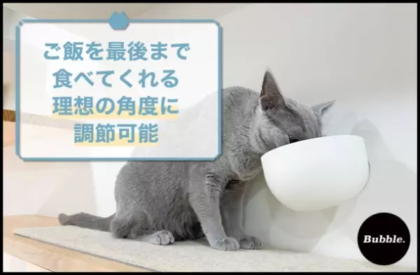 “猫のご飯の悩み”に向き合い開発　どこでも取り付けられるマグネットペットボウル「バブルボウル」をMakuakeにて11月15日まで販売中