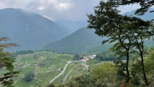おもてなしの心で耕作放棄茶畑を活かす！岐阜県の天空の茶畑(R)オイル配合で手肌が潤うのにべたつかない「茶みゆ」ハンドクリームの先行予約販売を11/16(水)まで実施中