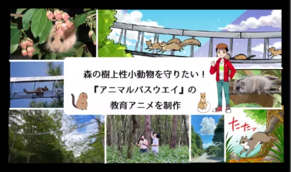 路上事故から野生動物を守る歩道橋　啓発アニメ制作のためのクラウドファンディングを10月17日から開始