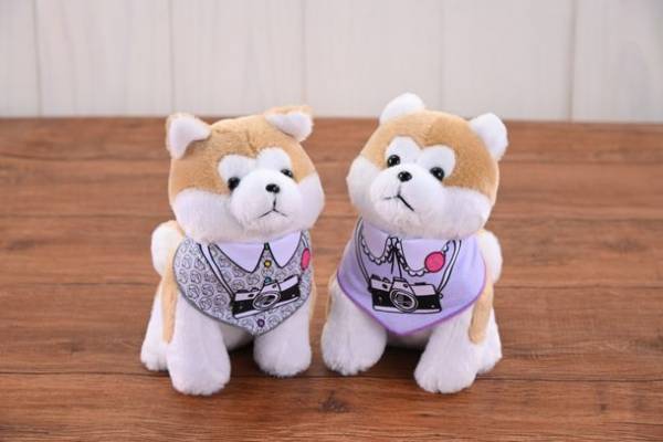 忠犬ハチ公で渋谷と秋田をつなぐ地方創生型コンセプトショップ『ハチふる SHIBUYA meets AKITA』　OPEN1周年を記念してオリジナルグッズや限定クーポン配布！