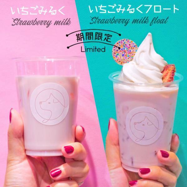 忠犬ハチ公で渋谷と秋田をつなぐ地方創生型コンセプトショップ『ハチふる SHIBUYA meets AKITA』　OPEN1周年を記念してオリジナルグッズや限定クーポン配布！