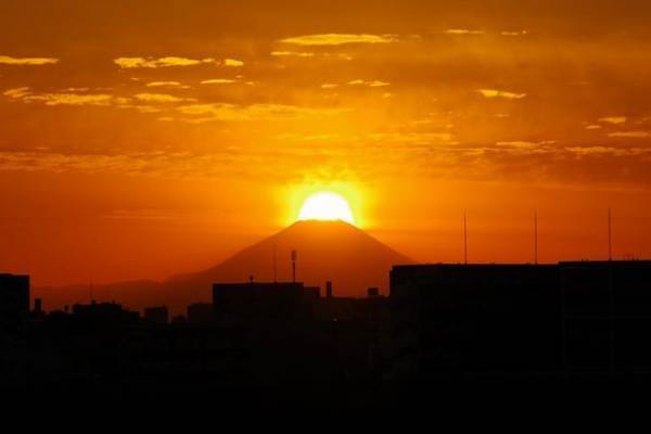 富士山のふもと富士市からダイヤモンド富士の名所へ！「富士ヒノキ製 富士山ベンチ」を東京都足立区に寄贈