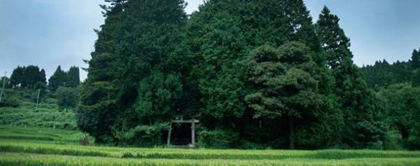 京都・宮津 天橋立をお得に観光できる『宮津 天橋立まるっぽパス』を期間限定で販売開始