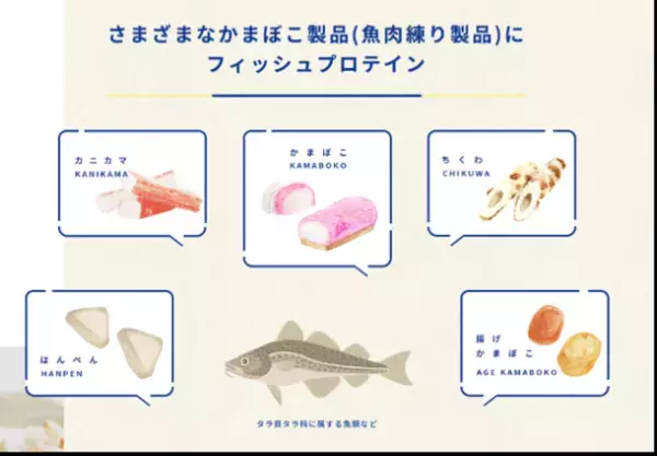 新事実！かまぼこは、老化を食い止める凄い食べ物だった！？日本かまぼこ協会、YouTube「予防医学ch」とのコラボ動画で、魚肉ねり製品(フィッシュプロテイン)の健康効果を情報発信