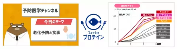 新事実！かまぼこは、老化を食い止める凄い食べ物だった！？日本かまぼこ協会、YouTube「予防医学ch」とのコラボ動画で、魚肉ねり製品(フィッシュプロテイン)の健康効果を情報発信