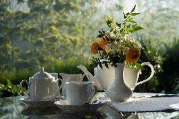 ～11月は紅茶月！セイロンティーDilmahと共に学ぶ～　オンラインレッスン「スリランカ旅の魅力とセイロン紅茶文化」11月6日(日)／13時30分～15時