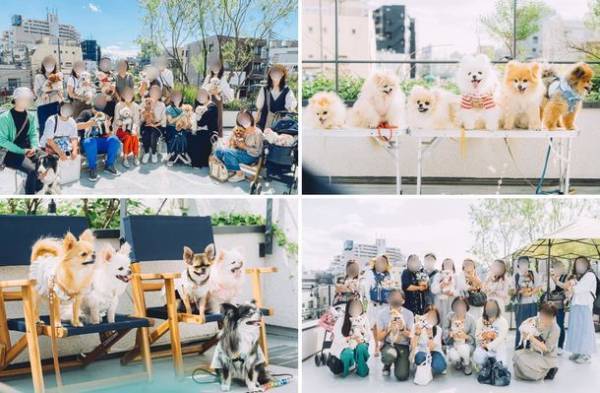 イヌもヒトも一緒に楽しめるイベント『FLAFFY Marche vol.2』2022年11月に大阪・東京にて開催　参加企業・サービスなど、イベントの詳細を発表