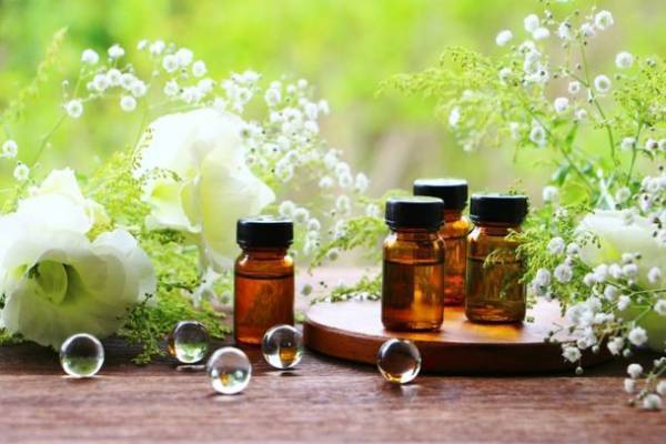 山梨のキャンプ場「CAMP＆SAUNA 3SET」、12月1日より“1周年記念キャンペーン”を開催　100本限定！テントサウナで使えるアロマ精油をプレゼント