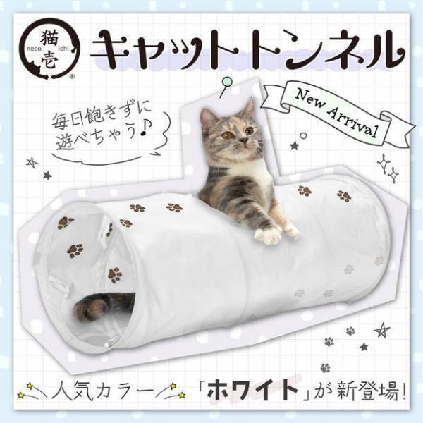 猫が大好き！カサカサ素材でできたトンネル型のおもちゃ　ロングセラーのキャットトンネルシリーズから新カラーのホワイトが登場！～2022年10月下旬から販売開始！～