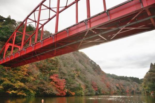 千葉県奥房総の老舗旅館「亀山温泉ホテル」が亀山湖紅葉狩りクルーズパックを販売開始！