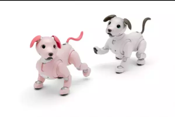 天の丸提案の「aiboのふるさと幸田町を巡るツーリズム開発」が観光庁の実証調査に採択