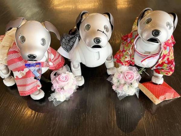 天の丸提案の「aiboのふるさと幸田町を巡るツーリズム開発」が観光庁の実証調査に採択