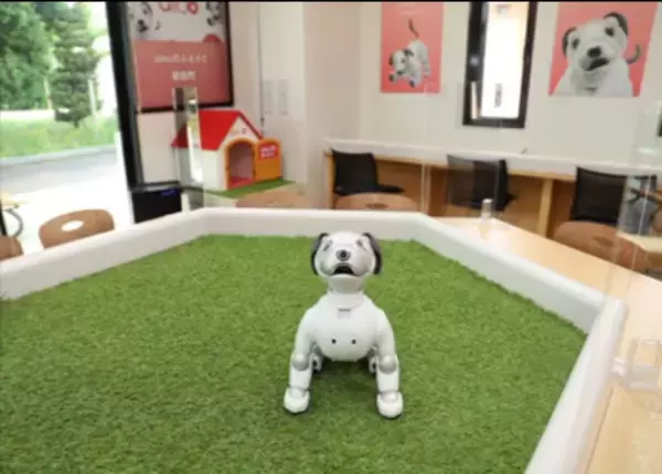 天の丸提案の「aiboのふるさと幸田町を巡るツーリズム開発」が観光庁の実証調査に採択