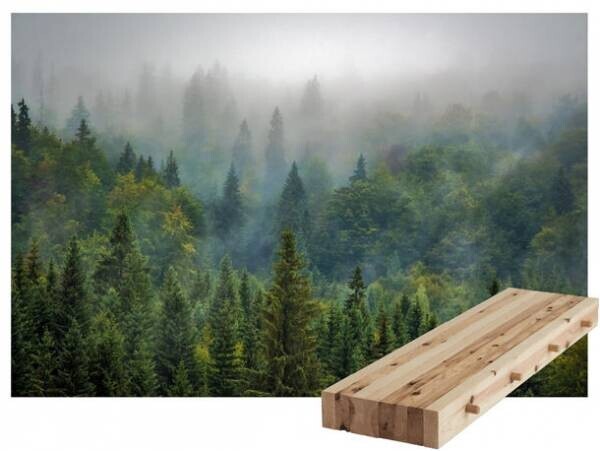 一般社団法人 全国木材組合連合会、「顔の見える木材での快適空間づくり事業」木材SCMにつながる7プロジェクトが始動