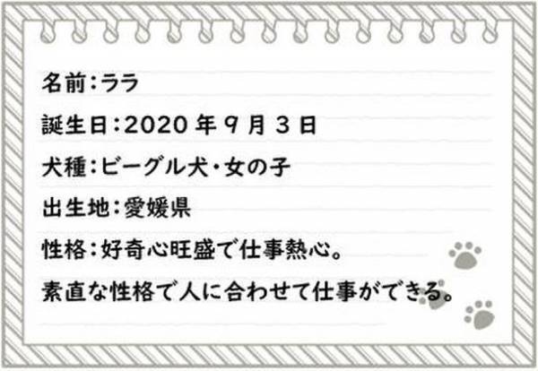 トコジラミ探知犬「ララ」デビュー！鋭い嗅覚を活かして害虫を発見する探知犬が活躍中！