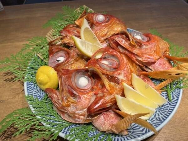 おさしみ食べ放題『熱海おさかなパラダイス』で伊豆の名産・金目鯛が食べ放題で楽しめるフェアが10/28スタート