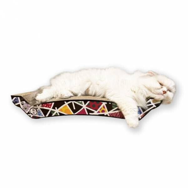 ポップアーティスト「ロメロ・ブリット」のアートをまとった限定デザインの猫用バリバリボウル、バリバリベッドが登場