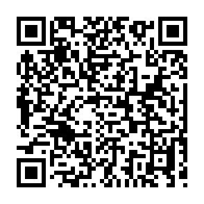 ラッピング列車「ならしかトレイン」がデビュー～　運行開始に先駆けて、試乗会に無料ご招待！　～