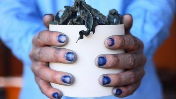 京藍染師 松崎陸による「松崎陸 京藍染展」を11/7より開催　初日限定のトークイベントや製品の展示販売も実施