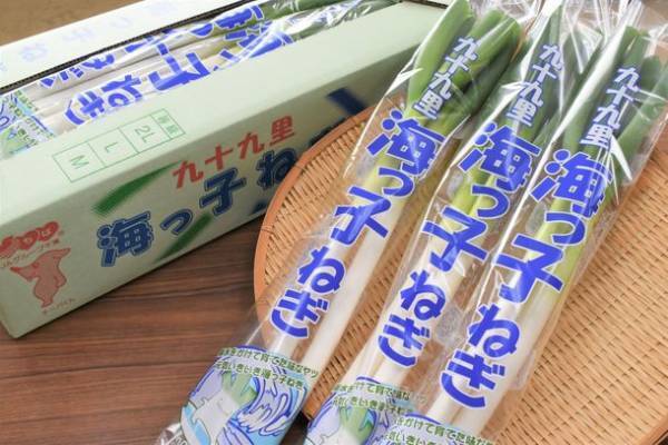 食材の宝庫千葉が誇る、秋～冬のグルメ特集！「千葉ブランド水産物フェア」など水産物イベントが開催