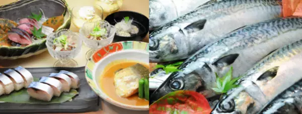 食材の宝庫千葉が誇る、秋～冬のグルメ特集！「千葉ブランド水産物フェア」など水産物イベントが開催