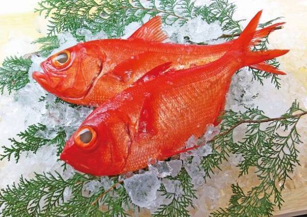 食材の宝庫千葉が誇る、秋～冬のグルメ特集！「千葉ブランド水産物フェア」など水産物イベントが開催