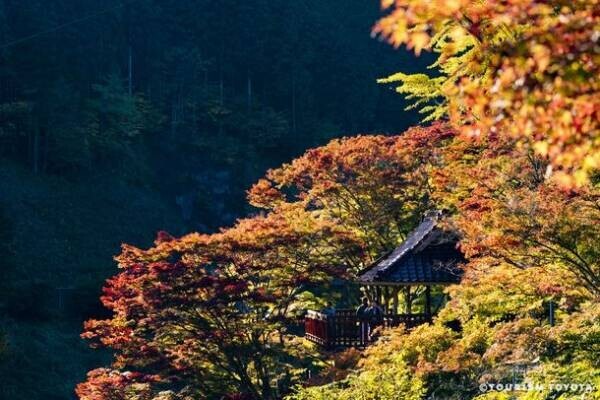 まもなく愛知県豊田市の紅葉が見頃に！ツーリズムとよたHPで「とよたの紅葉・見頃情報2022」を公開